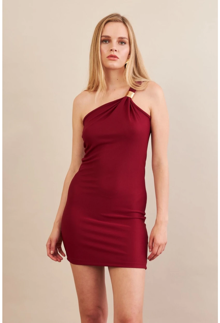 Kadın Bordo Aksesuarlı Mini Elbise FRY2315