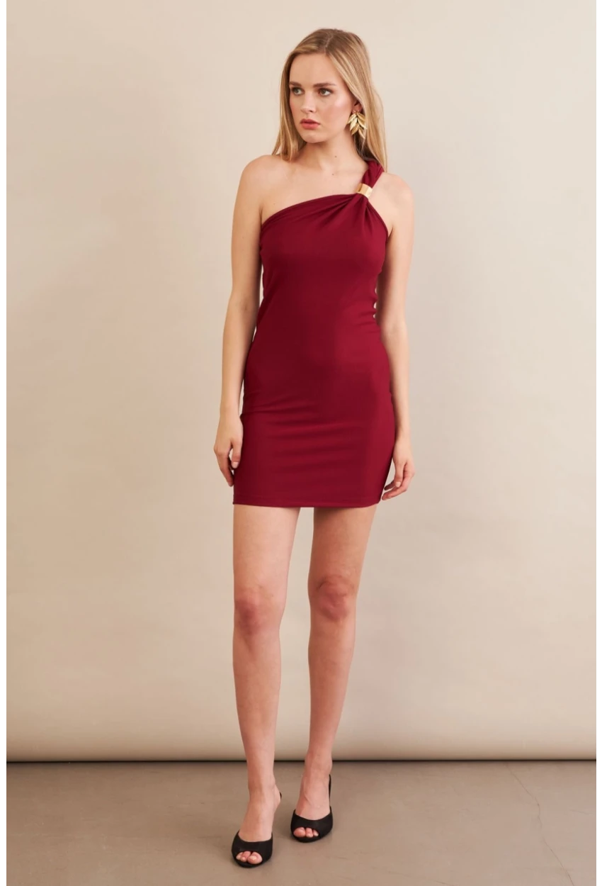 Kadın Bordo Aksesuarlı Mini Elbise FRY2315