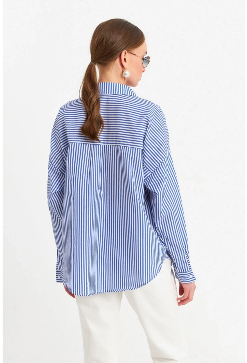 Kadın Ekru-Mavi Çizgili Gömlek ZER425