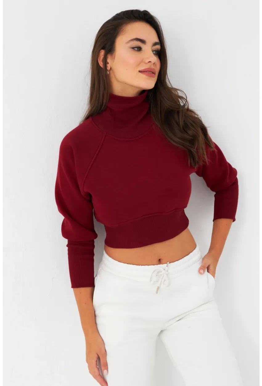 Kadın Bordo Balıkçı Crop Sweatshirt DY1469