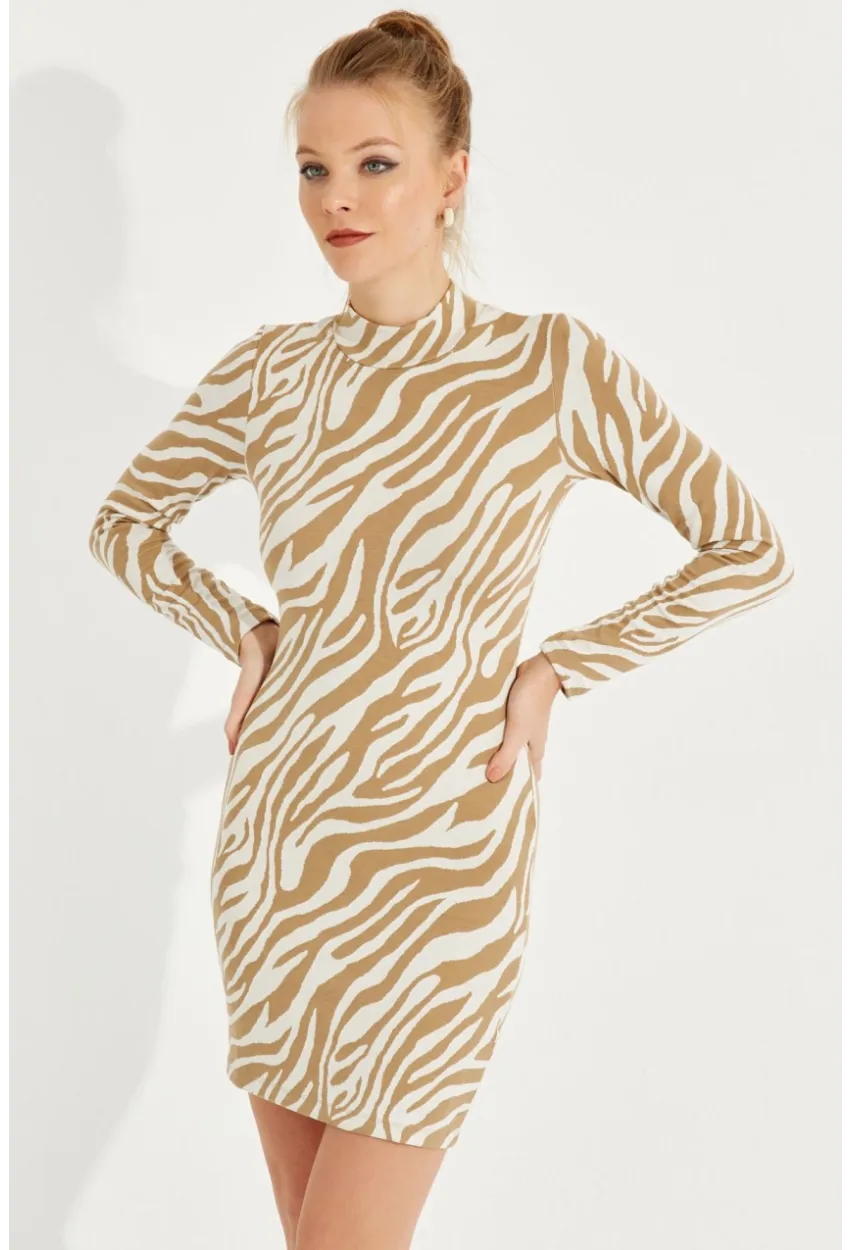 Kadın Ekru Zebra Desenli Mini Elbise AYD249