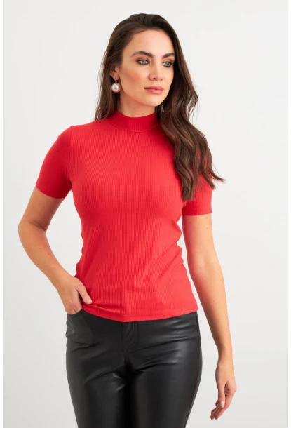 Kadın Kırmızı Basic Bluz AYD404