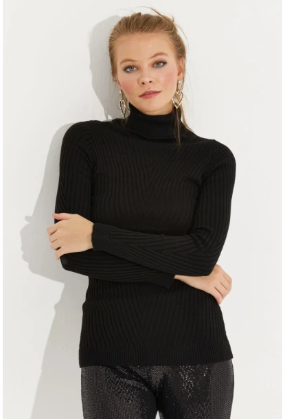 Kadın Siyah Balıkçı Yaka Triko Bluz MMSS128