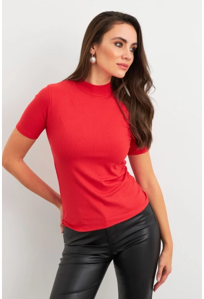 Kadın Kırmızı Basic Bluz AYD404